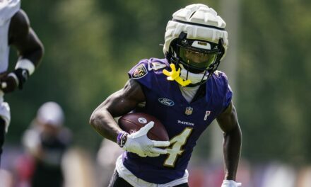 Fantasy Football Outlook: Zay Flowers