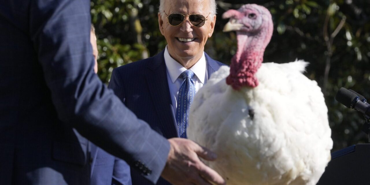 Joe Biden begins final White House holiday season with turkey pardons for ‘Peach’ and ‘Blossom’