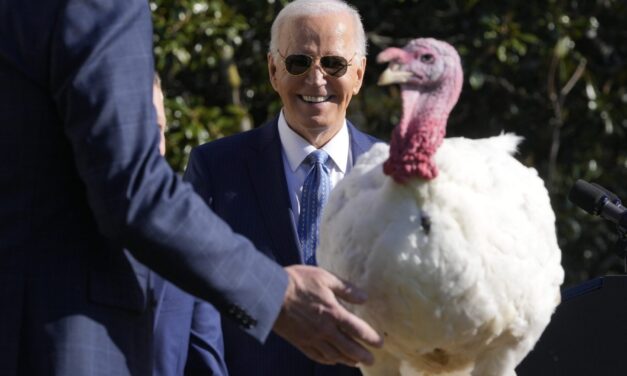 Joe Biden begins final White House holiday season with turkey pardons for ‘Peach’ and ‘Blossom’