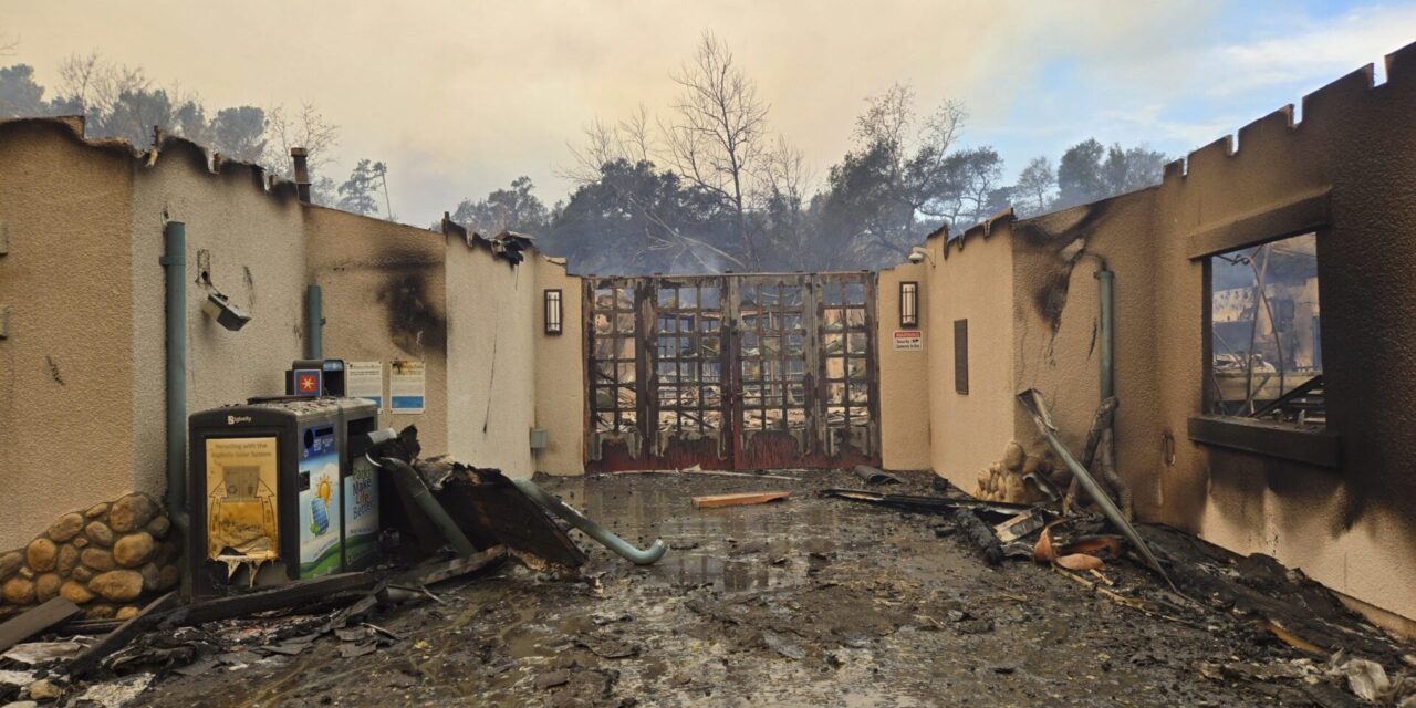 Fires burn Los Angeles schools and destroy outdoor education sanctuaries