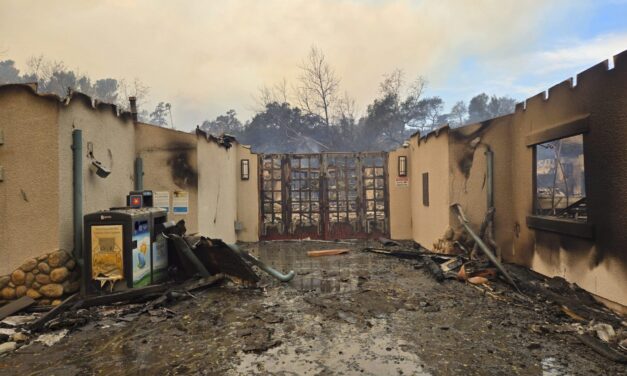 Fires burn Los Angeles schools and destroy outdoor education sanctuaries