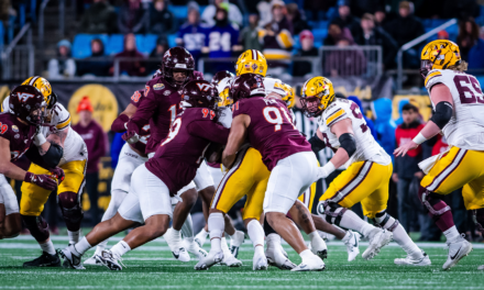 Sack by Wilfried Pene (Minnesota)