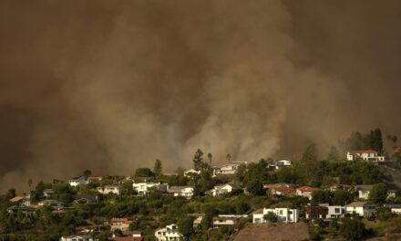 Struggling with your mental health after surviving a disaster? Here’s how to look after yourself