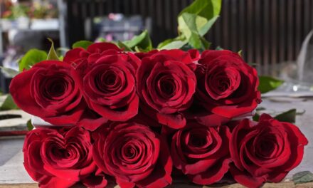 French group issues Valentine’s Day warning that cut flowers have a variety of pesticides