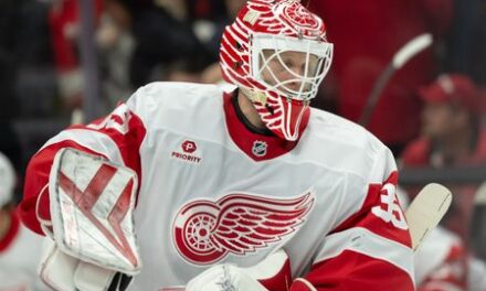 Ducks acquire veteran G Ville Husso from Red Wings