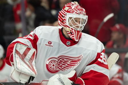 Ducks acquire veteran G Ville Husso from Red Wings