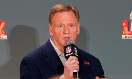 NFL Commissioner Roger Goodell Expects More Usage of Replay Assist