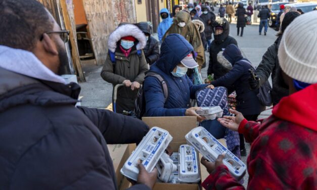 New Yorkers scramble for free eggs