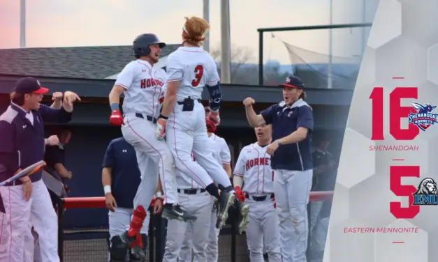 Hornets Sting Royals in Dominant 16-5 Victory