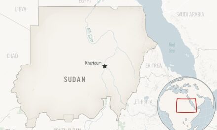 Sudan’s paramilitaries kill more than 30 in a new attack on a Darfur city, activists say