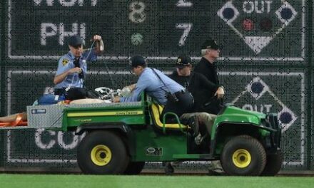 Fan falls 21 feet onto warning track during Cubs-Pirates game