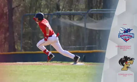 Hornets Swept by Panthers on the Road