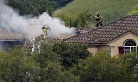 Small plane crashes into Los Angeles-area neighborhood, killing 1 person