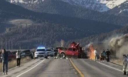 Truck crossed center line in crash with tour van that killed 7 near Yellowstone, police say