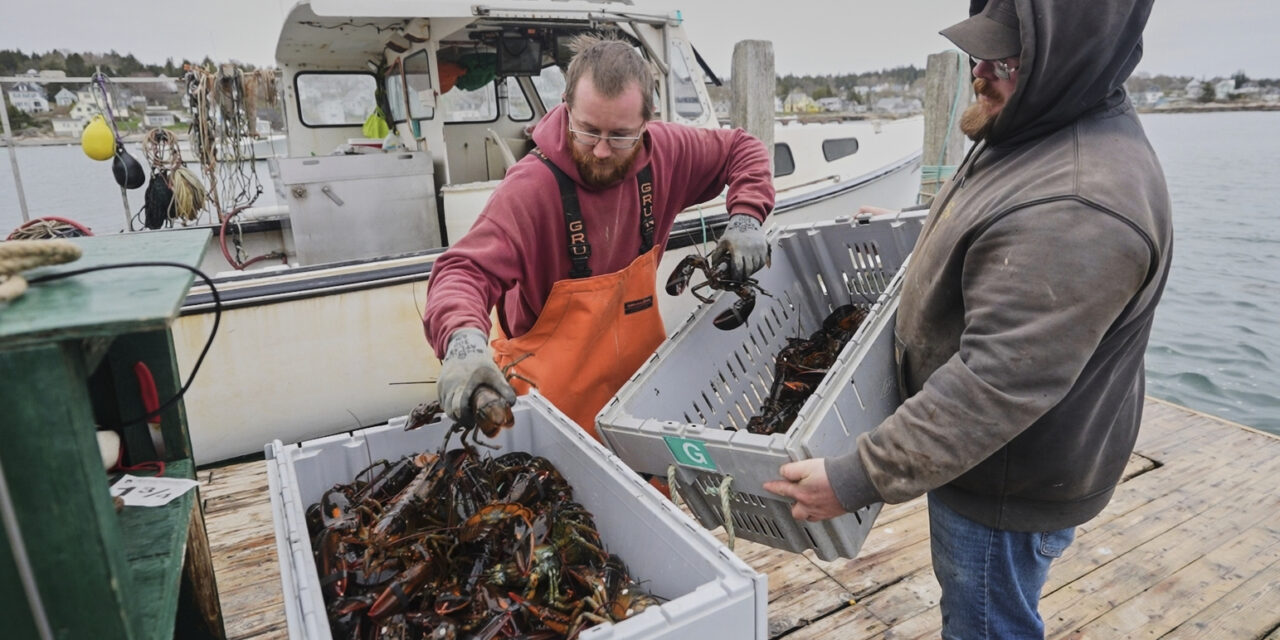 Fishermen battling with changing oceans chart new course after Trump’s push to deregulate