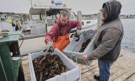 Fishermen battling with changing oceans chart new course after Trump’s push to deregulate