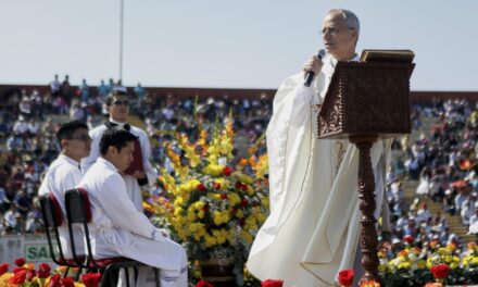 ‘Leo will follow Francis.’ Amazon Catholics hope the new pope will protect the rain forest