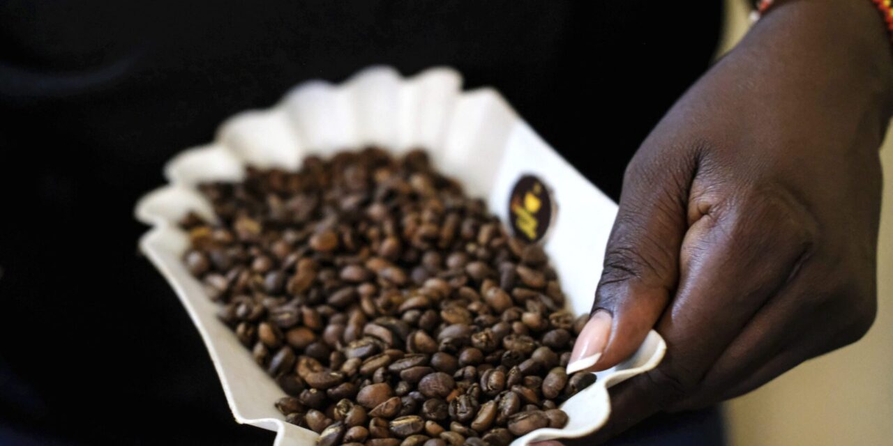 In coffee-producing Uganda, an emerging sisterhood wants more women involved