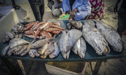 Foreign overfishing in Senegal fuels migration to Spain, a report finds