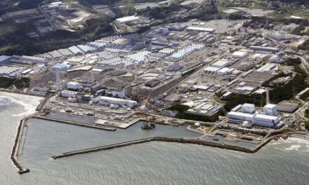 Japan to use slightly radioactive soil from Fukushima on flowerbeds at prime minister’s office