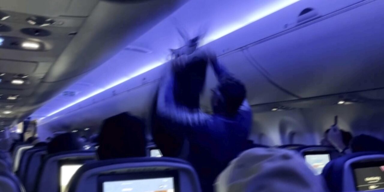Delta flight delayed because 2 pigeons sneaked aboard a plane in Minneapolis