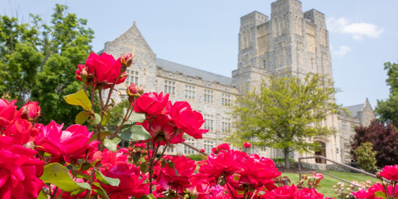 Virginia Tech continues to excel in latest NCAA APR report