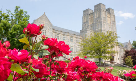 Virginia Tech continues to excel in latest NCAA APR report