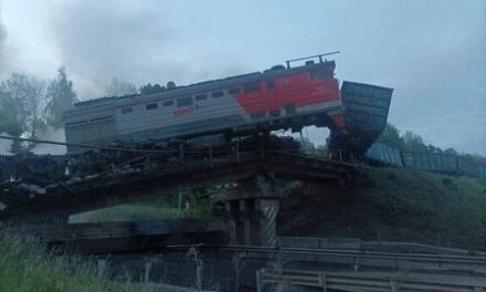 Bridge collapses in Russia’s Kursk region as freight train passes, regional governor says