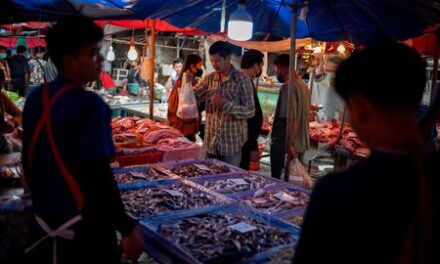 Thailand’s stalled cash handout scheme sours voters on ruling party 