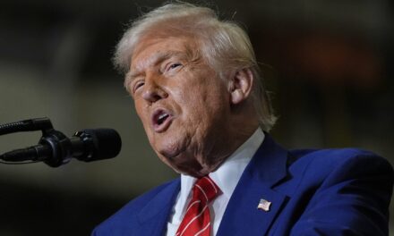 Trump pardons 2 divers who freed 19 sharks off the coast of Florida