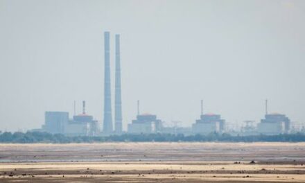 Russia says situation at Zaporizhzhia plant under control but situation is complex