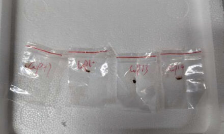 FBI says it broke up effort to bring toxic fungus to Michigan lab from China
