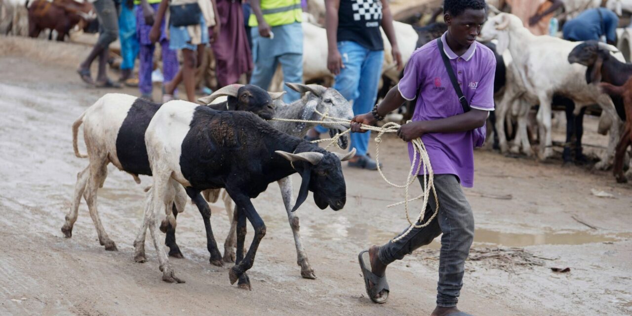 Muslims look forward to the annual Eid feast. Many Africans are now struggling to afford it