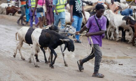Muslims look forward to the annual Eid feast. Many Africans are now struggling to afford it