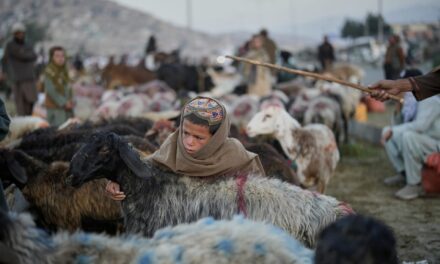 AP PHOTOS: Afghans mark Eid al-Adha on its fourth year since the return of the Taliban