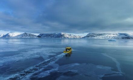 France’s president will visit Greenland in a show of EU unity, Danish leader says