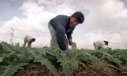 Why were so many Thai farmers among the hostages held by Hamas?
