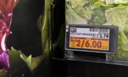 Shoppers are wary of digital shelf labels, but a study found they don’t lead to price surges
