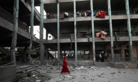 Israel commits ‘extermination’ in Gaza by killing in schools, UN experts say
