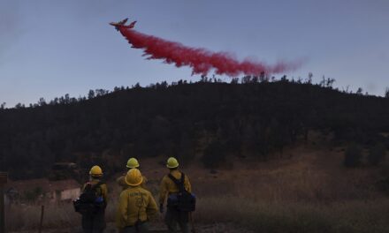 Trump moves to merge wildland firefighting into single force, despite ex-officials warning of chaos