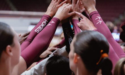 Volleyball adds seven to 2025 roster